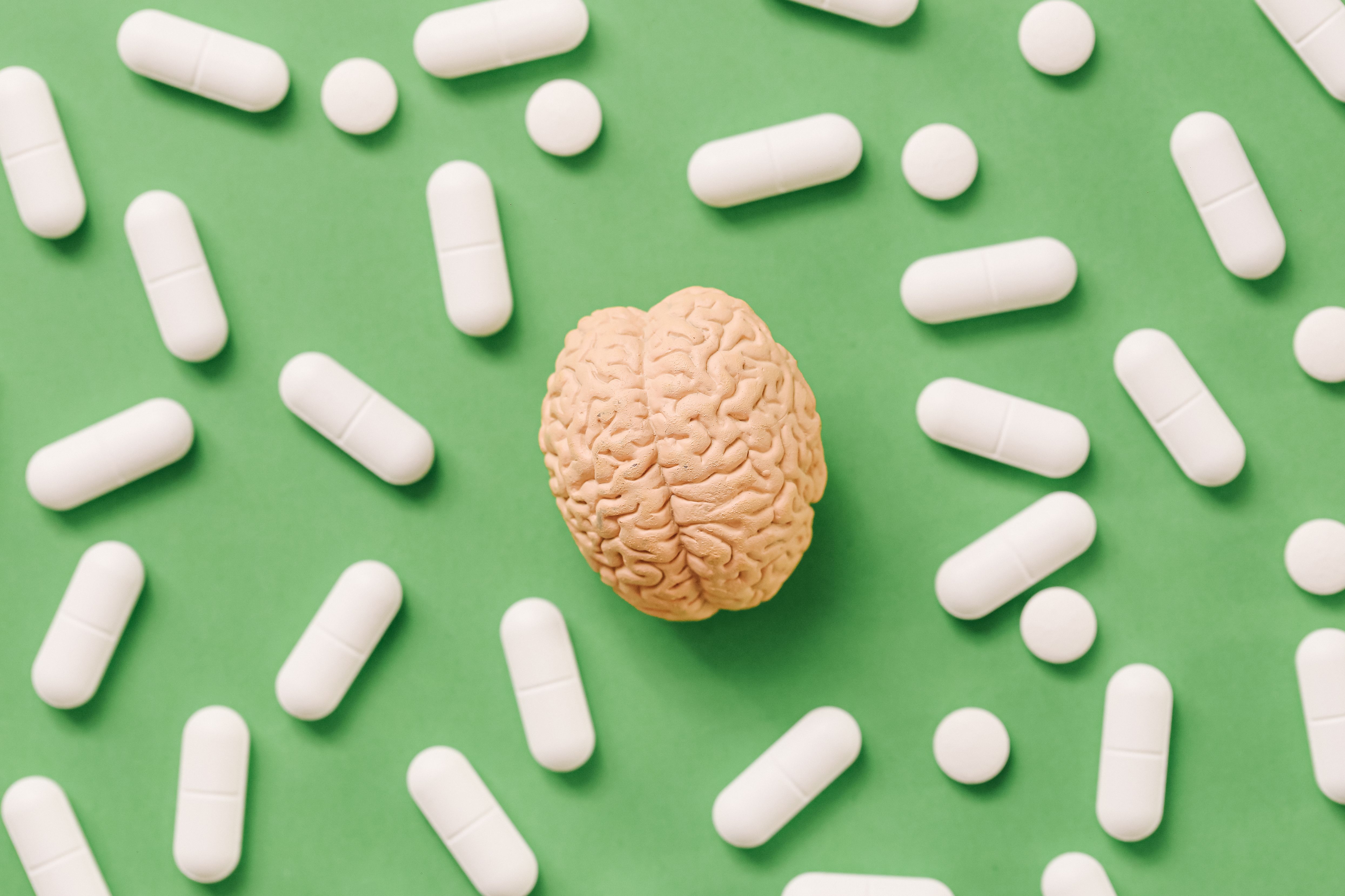 Magnesium May Not Reach Your Brain, Despite Supplement Label Promises — Wired, Tel Aviv Schools news