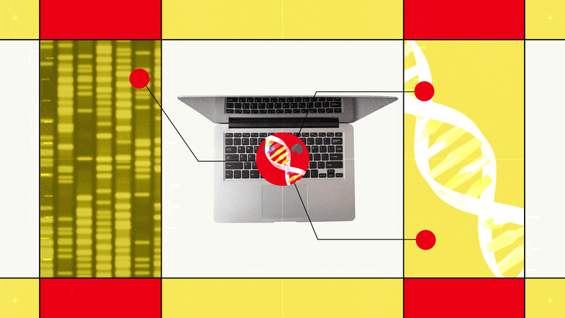 Hugging Face’s New AI Biology Model Lets You Chat With DNA — Wired, Tel Aviv Technology news
