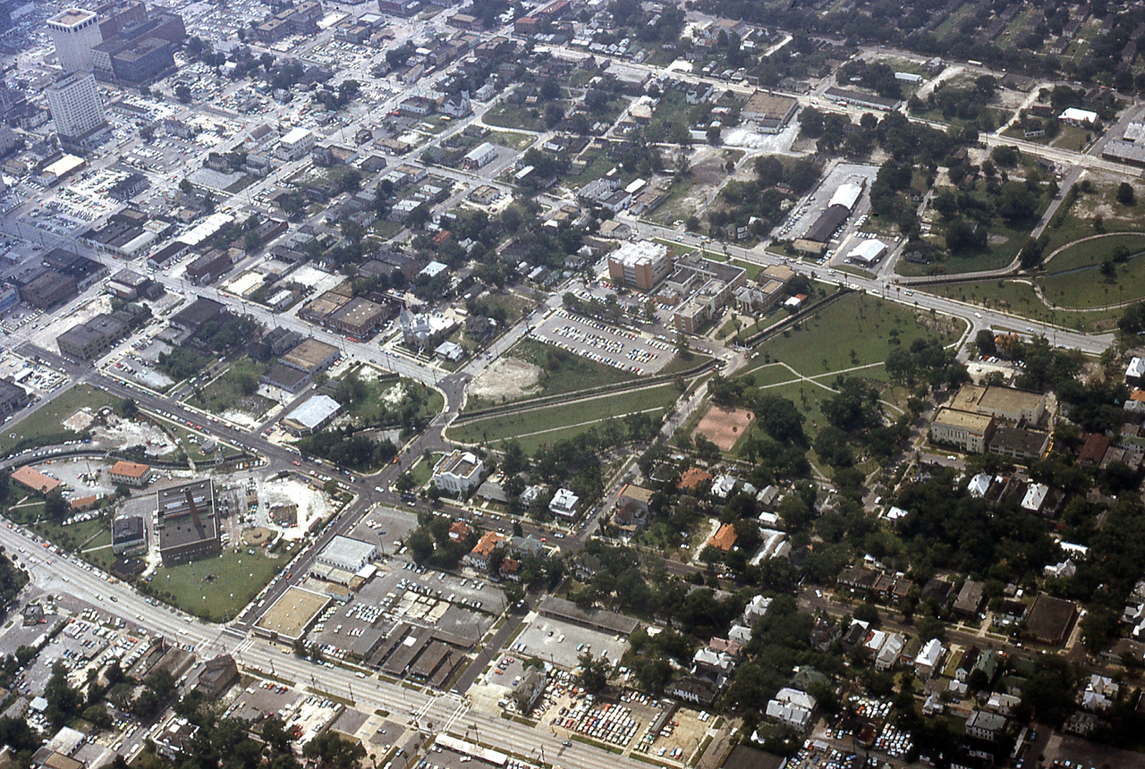 THE JAXSON | The oak tree that remembers Black Bottom — Jacksonville Today, Tel Aviv Schools news